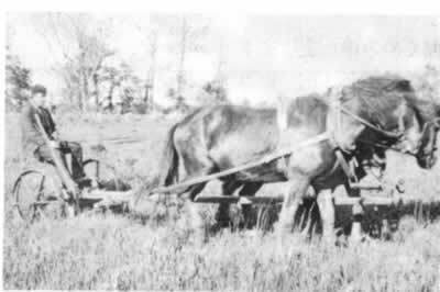 開拓時使用された様式大農機械の写真