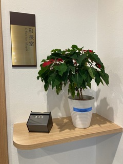雨高養_花.jpg
