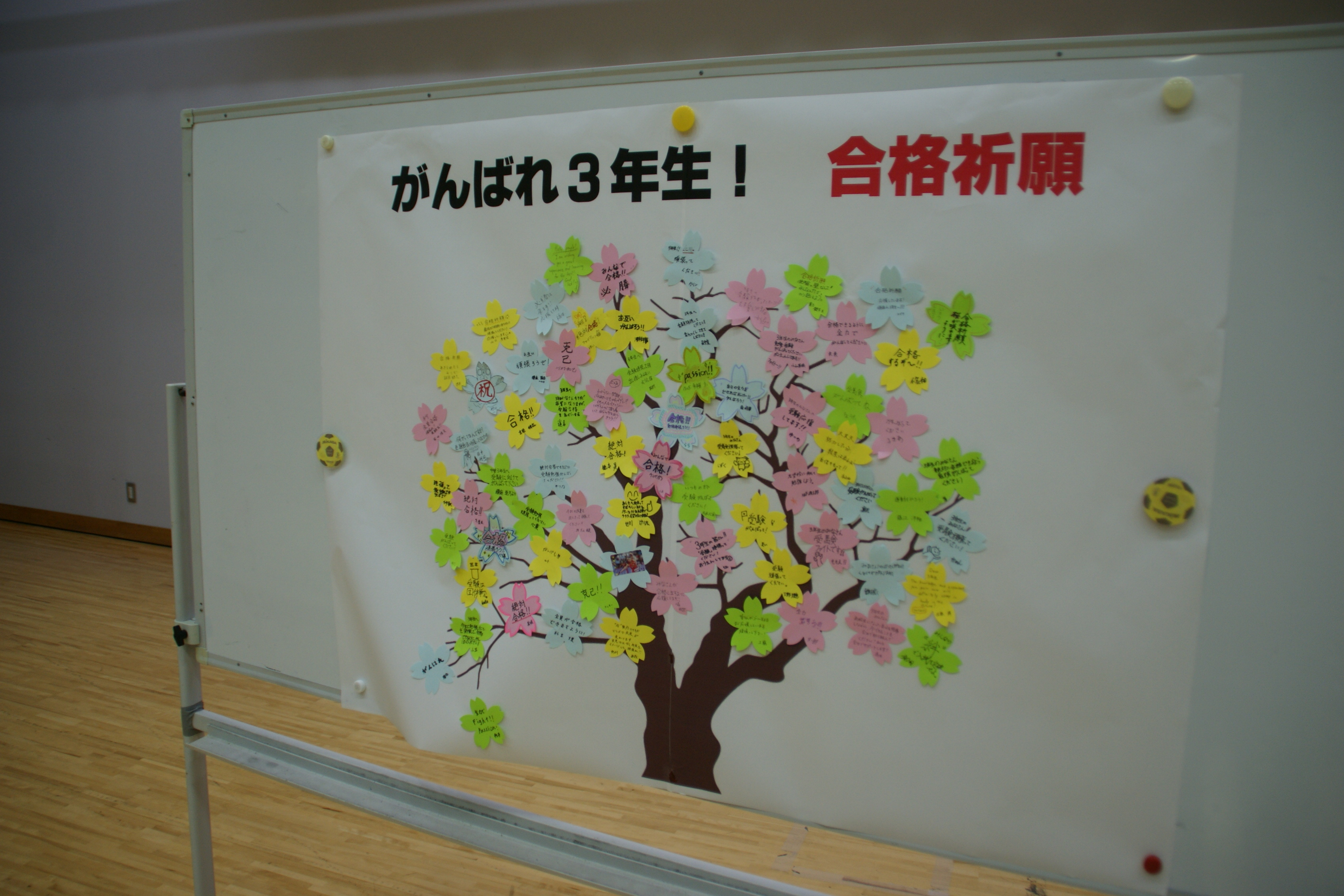 後輩や先生方からの合格祈願メッセージ