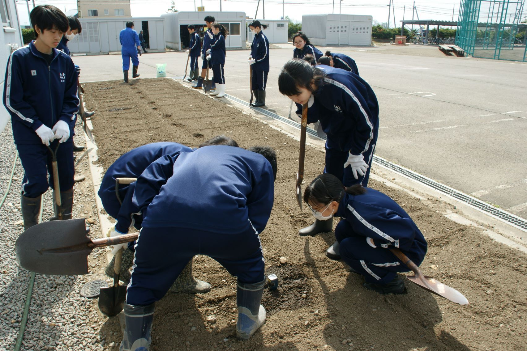 教材園のpH値を測定.JPG