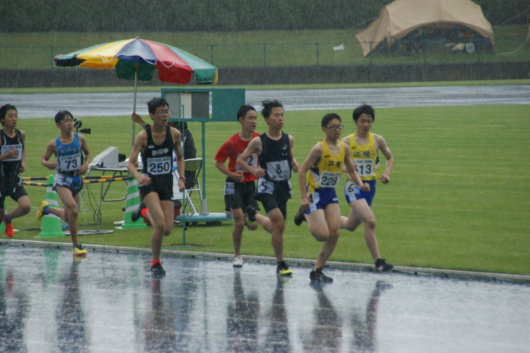 男子800m、競技の様子.JPG