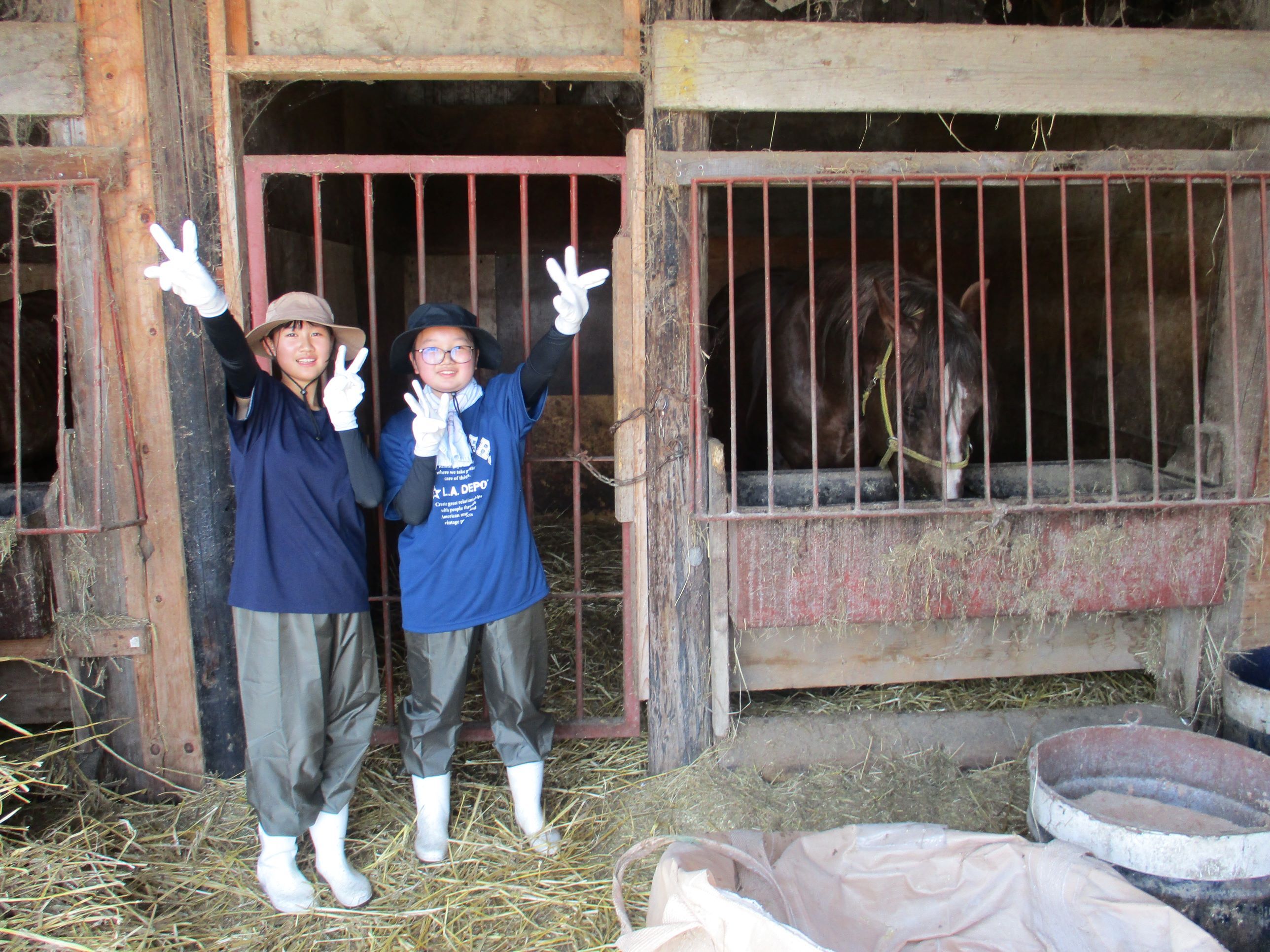 大熊さん家で馬の世話.JPG