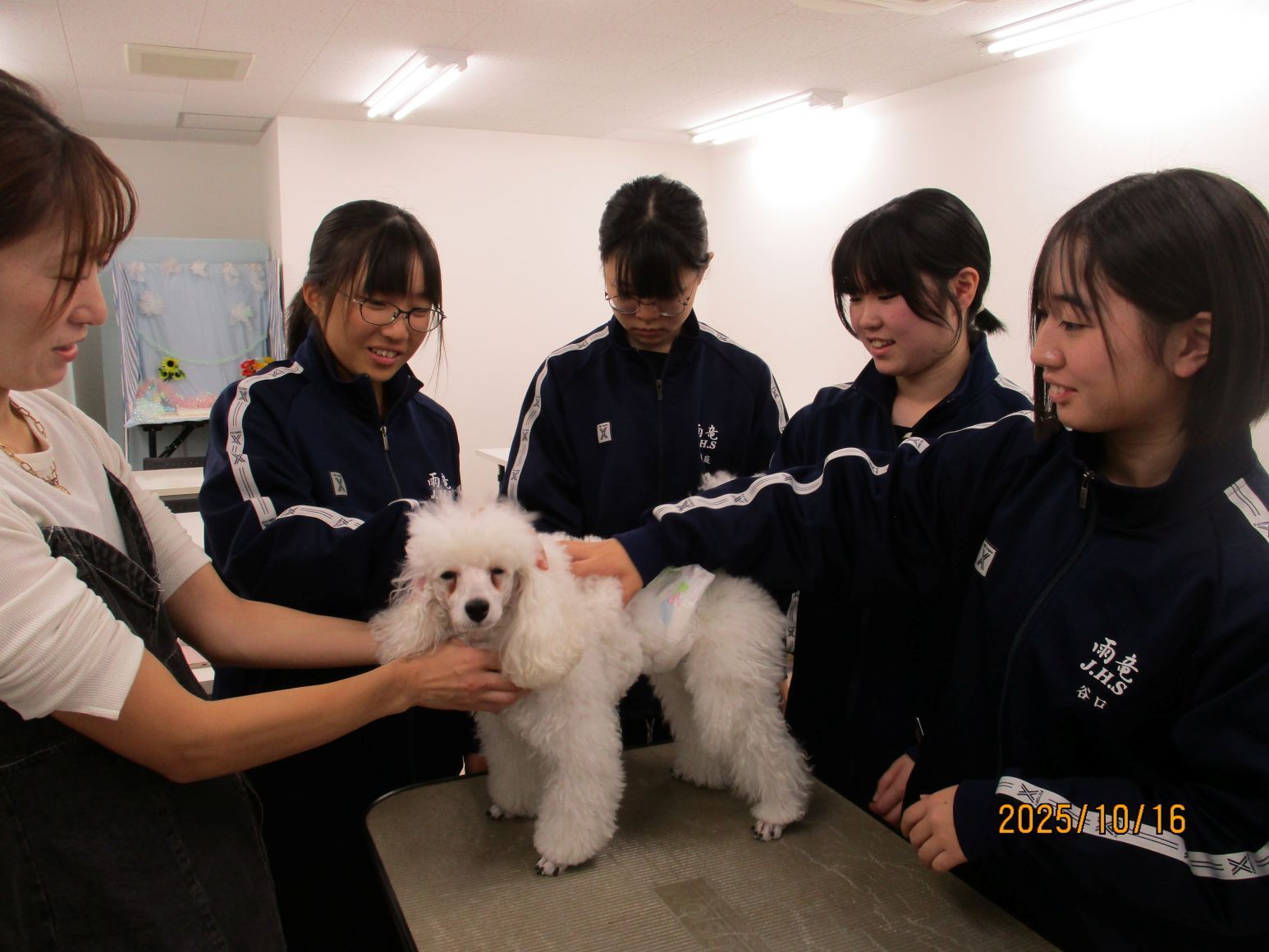 動物専門学校の体験.JPG