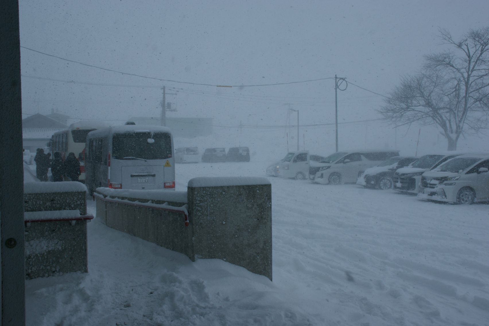 前が見えないくらいの猛吹雪.JPG