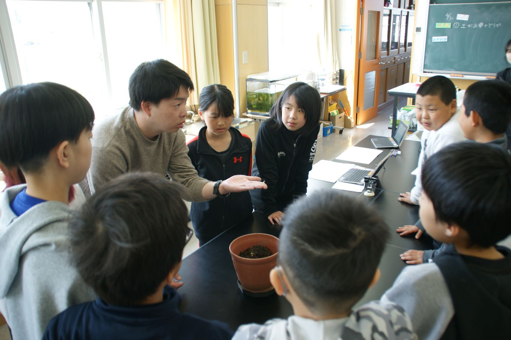 発芽の様子を観察.JPG