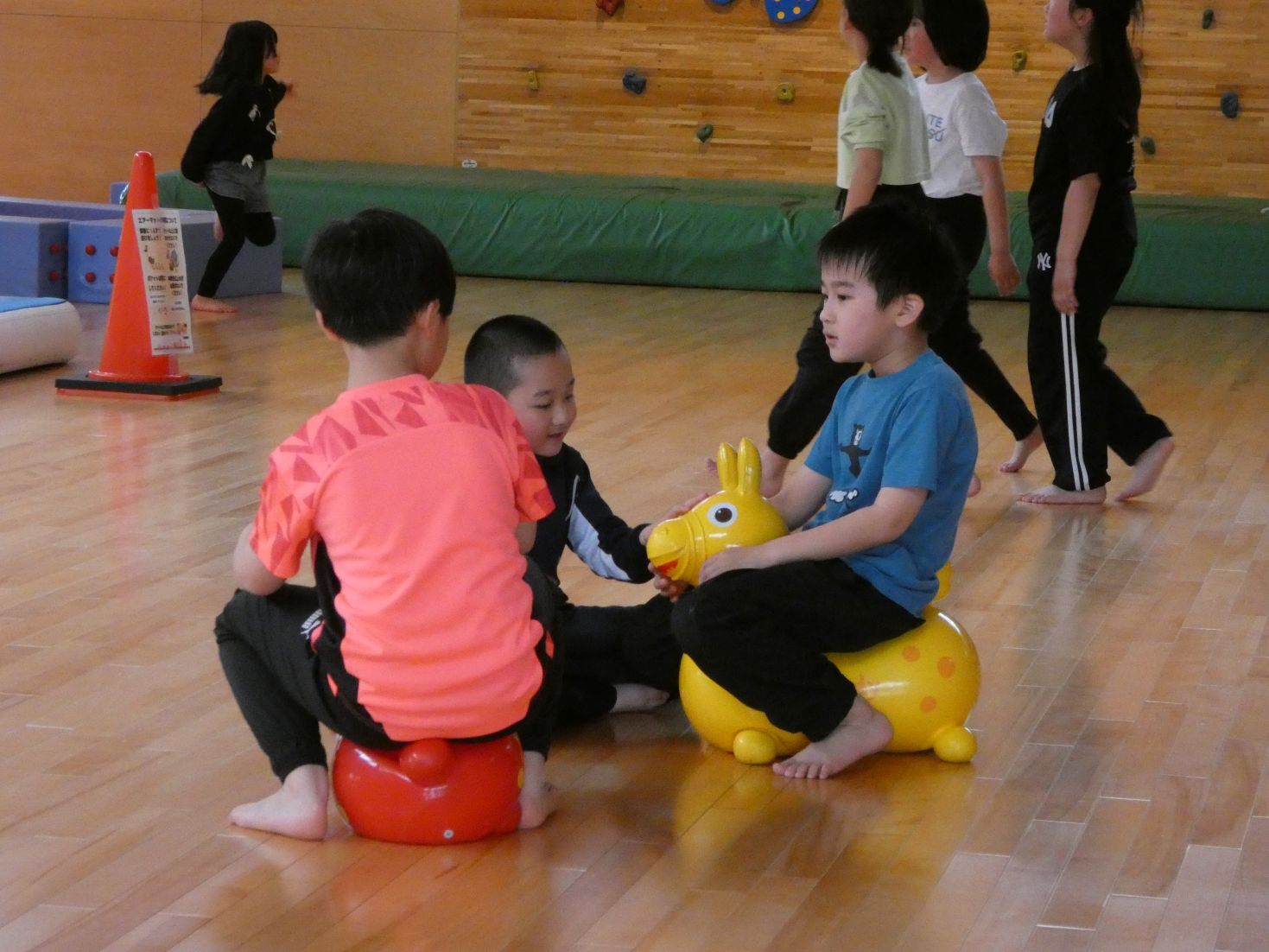 室内でも遊ぶ.JPG