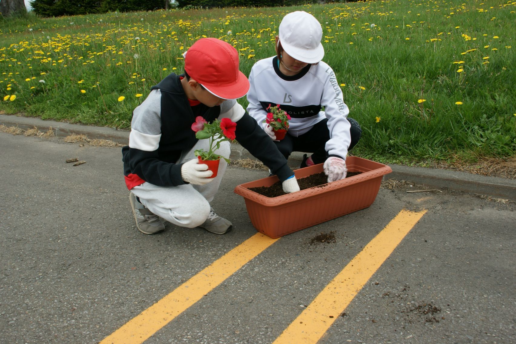 プランターに花を植える5年生.JPG