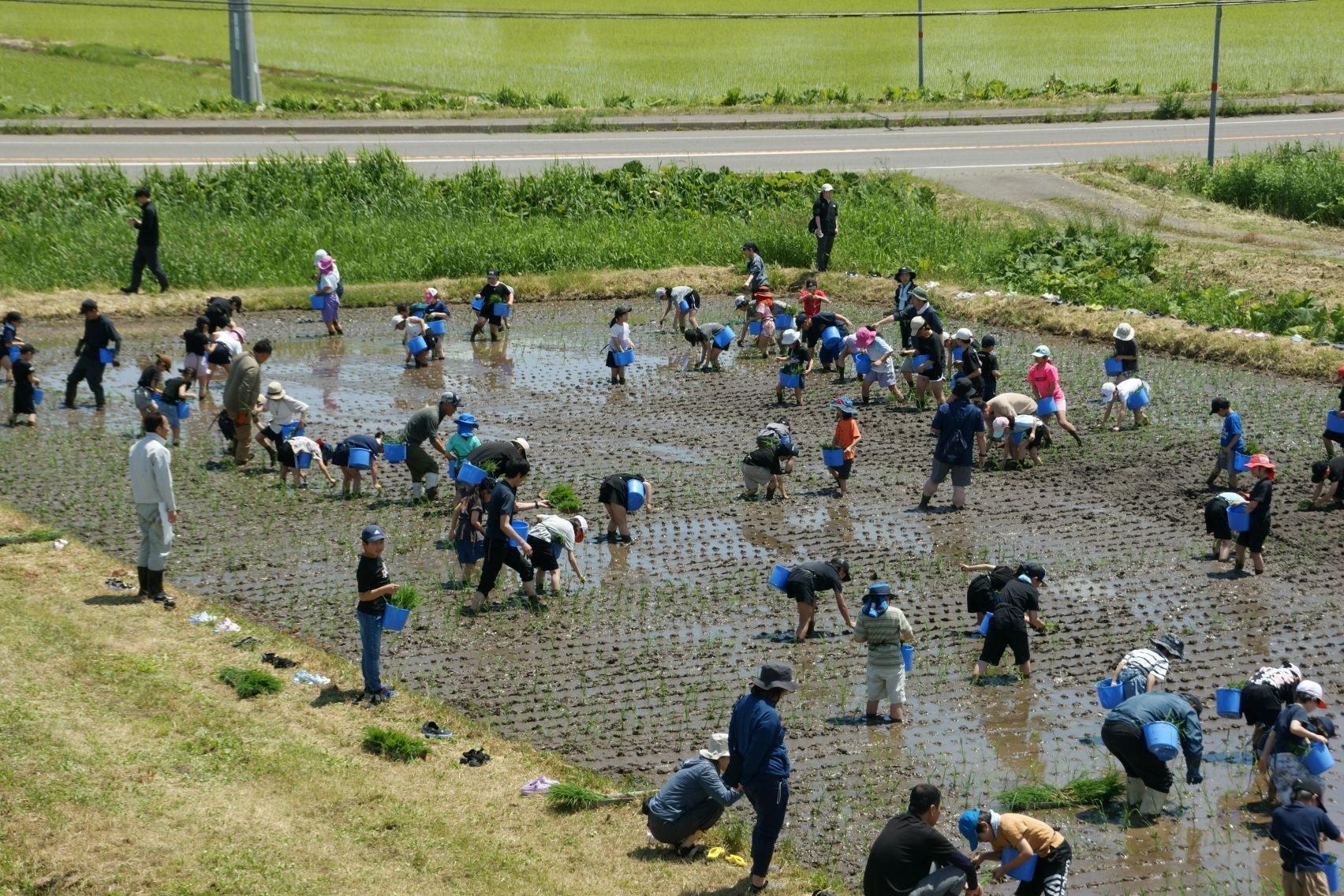 8 みんなで協力.JPG