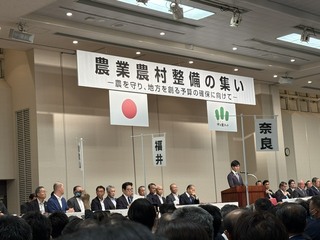 IMG_6798 (1).jpeg