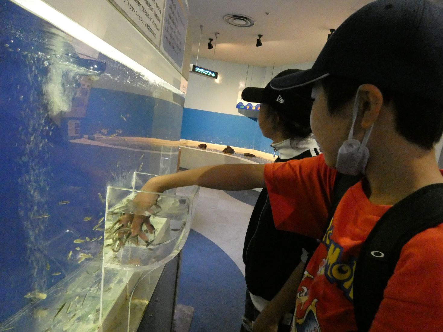 サンピアザ水族館へ.JPG