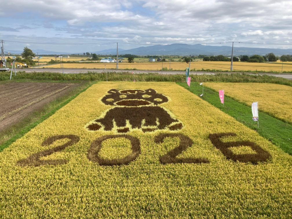 稲が実った田んぼアート.JPG