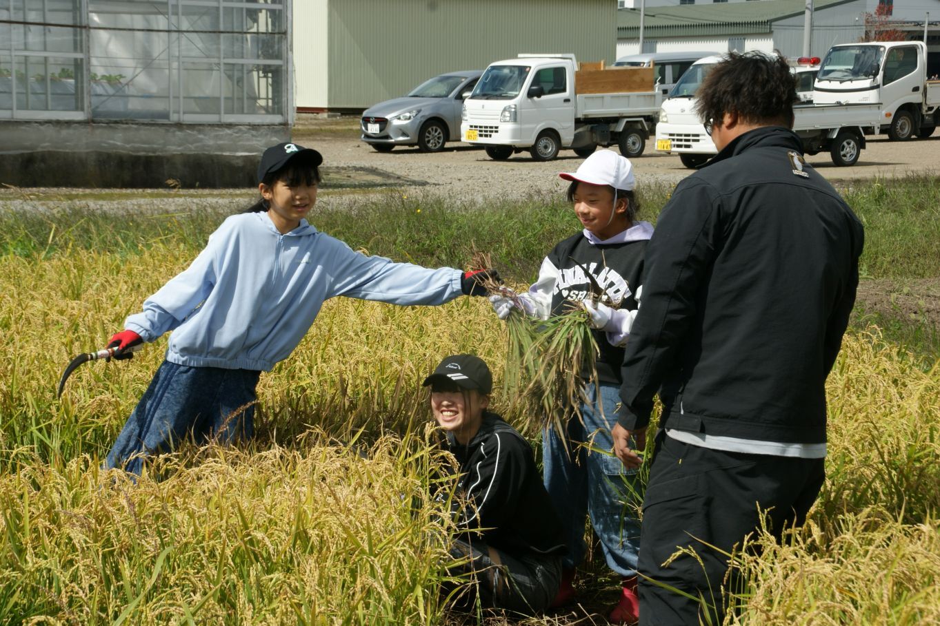 楽しく稲刈り.JPG