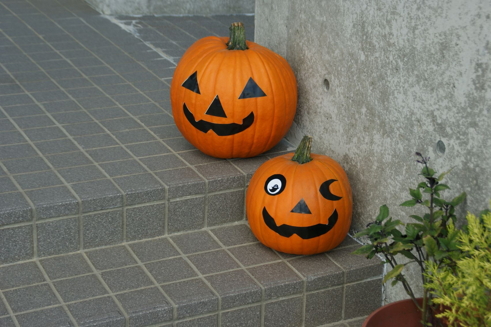 ハッピーハロウィン.JPG
