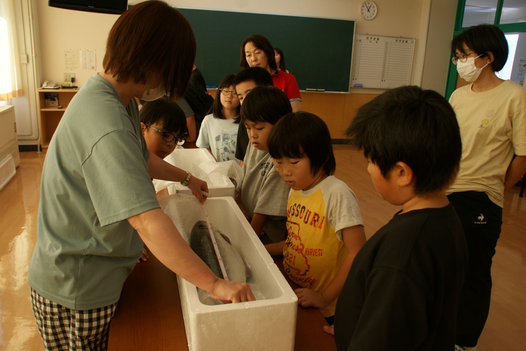 実物と同じ大きさ.JPG