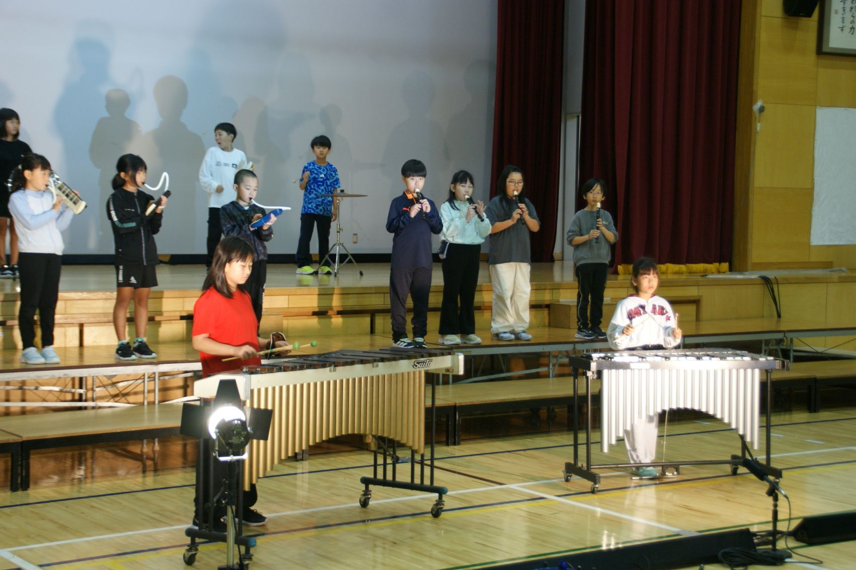 いろいろな楽器を演奏.JPG