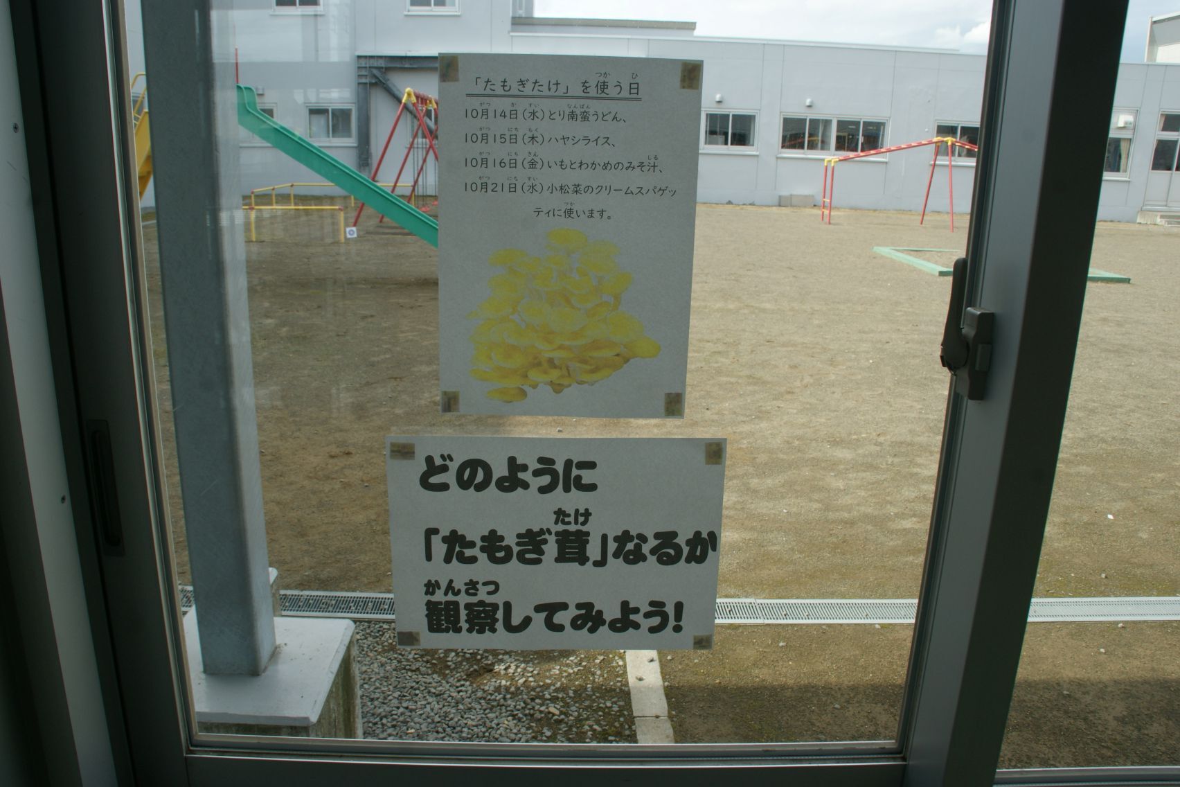 今月の給食に登場します.JPG