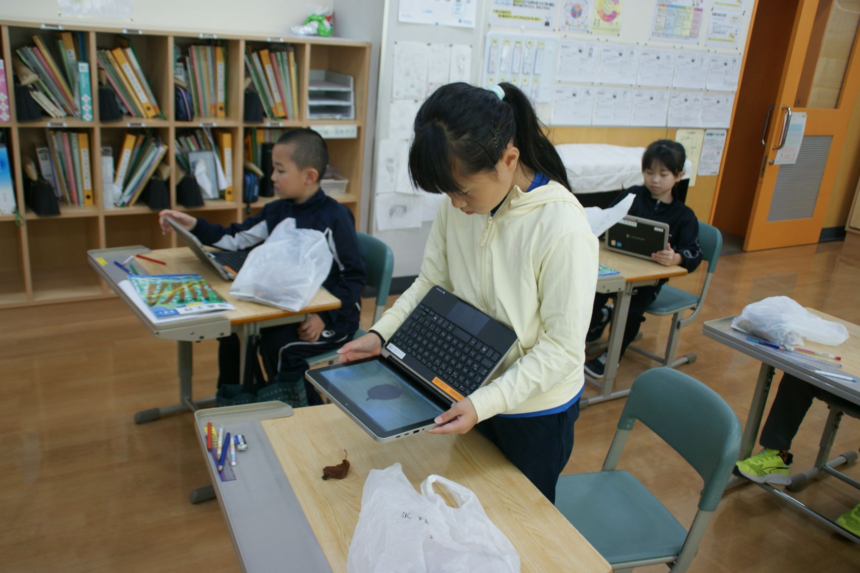 見つけた葉っぱを写真に残す.JPG